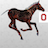 icon FoalScore 1.1