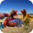 icon Farm Deadly Rooster Fighting 1.0