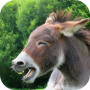icon Donkey Sounds for LG K10 LTE(K420ds)