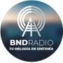 icon BND Radio for Doopro P2