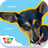 icon Zula 1.9.105