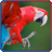 icon Animal Puzzle 2.11.3