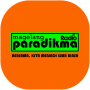 icon Radio Paradikma for intex Aqua A4
