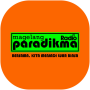 icon Radio Paradikma for Samsung S5830 Galaxy Ace