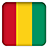 icon Selfie with Guinea Flag 1.0.3
