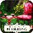 icon Hidden Mahjong: Gift of Spring 1.0.0