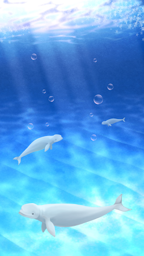 Aquarium beluga simulation