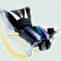 icon Wingsuit Simulator