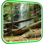 icon Waterfall in Forest Wallpaper