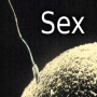 icon History of Sex for Samsung S5830 Galaxy Ace