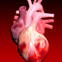 icon Circulatory System in 3D Anatomy