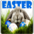 icon Easter Wallpaper 1.2
