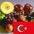 icon Learn Fruits in Turkish 1.0.7