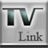 icon TVLink Focus Group 1.0