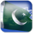 icon Pakistan Flag 4.2.4