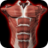 icon Muscles 3D Anatomy 2.0.8
