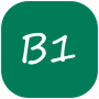 icon B1V Player