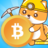 icon Bitcoin Rich 14