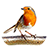 icon Bird Calls, Sounds & Ringtones 4.0.0