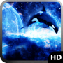 icon Orca Wallpaper for Samsung S5830 Galaxy Ace