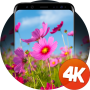 icon Floral wallpaper 4K