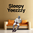 icon Yeezzzy 1.0.2