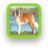 icon Saint Bernard Dog Wallpaper 1.0