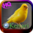 icon Kicau Kenari 1.0