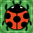 icon Insect Pelmanism 1.0.1
