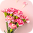 icon Pink Carnations 1.0.1