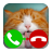icon Fake Call Cat 2 1.0