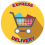 icon EXPRESS DELIVERY for Doopro P2