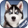 icon Dog for Samsung Galaxy S3 Neo(GT-I9300I)