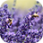 icon Lavender Live Wallpaper 1.1