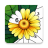 icon Color Oasis 1.2.10