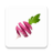 icon Food Book 44.0.0