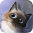 icon Peper Kitten 1.2.3