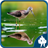 icon Reflection Jigsaw Puzzles 1.6.6