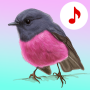 icon Bird songs: Ringtones
