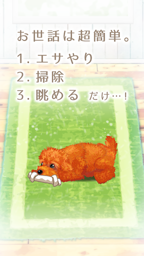 Healing puppy breeding game ~ Toy poodle edition ~