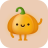 icon VPN Pumpkin 1.5.900