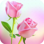 icon com.flowers.rosegifs