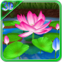 icon Lotus 3D Live Wallpaper