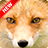 icon Fox Wallpaper 1.5