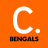 icon Bengals Football 4.2.198