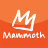 icon Mammoth 5.8.2