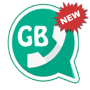 icon GB Wasahp v12 for Doopro P2
