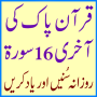 icon MAlafasy Short Quran Audio Mp3 for Samsung Galaxy Note 10 1