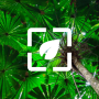 icon Nature Wallpaper HD for Sony Xperia XZ1 Compact