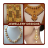 icon JewelleryDesigns 1.0